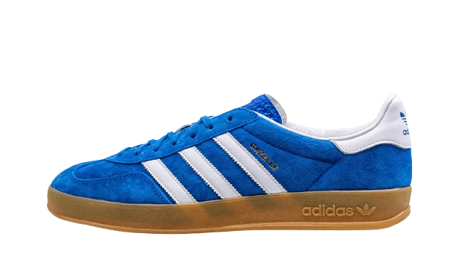 Adidas Gazelle Indoor Blue Bird Gum - H06260 - Mentastore
