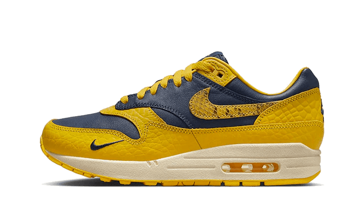 Nike Air Max 1 Co.jp Michigan Head To Head (Women's) - FJ5479 - 410 - Mentastore