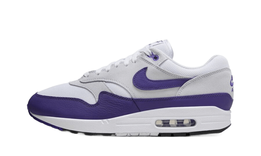 Nike air max 1 sc field purple - DZ4549-101 - Mentastore